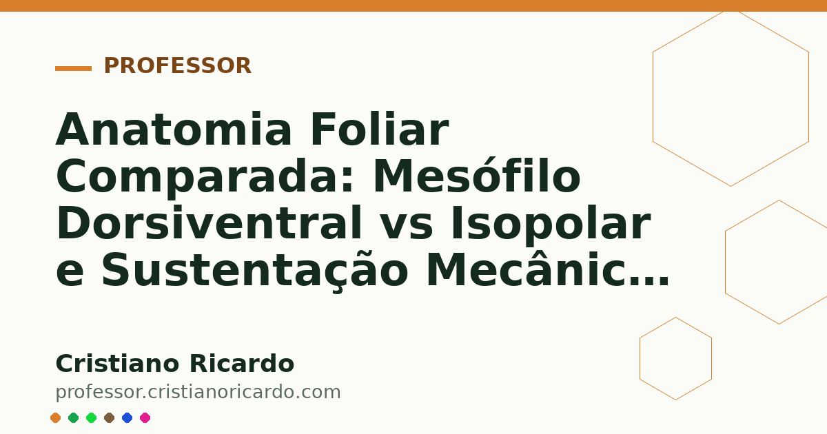 Card OG automático: Anatomia Foliar Comparada: Mesófilo Dorsiventral vs Isopolar e Sustentação Mecânica (Tratado de Farmacobotânica 2018)
